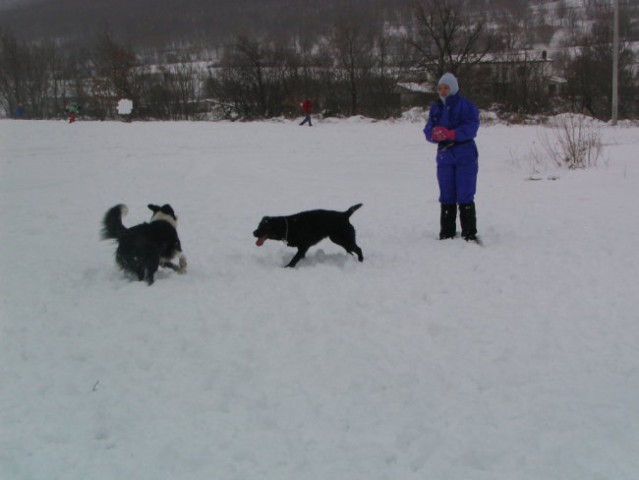 Sneg,Podgorje,31.12.2005 - foto