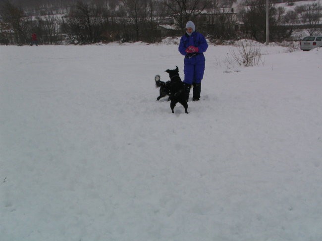 Sneg,Podgorje,31.12.2005 - foto povečava