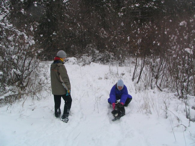 Sneg,Podgorje,31.12.2005 - foto povečava