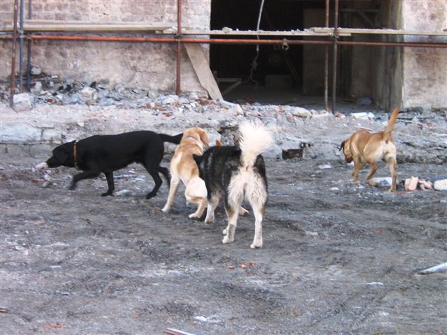 Vaja MERP v Luki Koper ,11.02.2006 - foto povečava