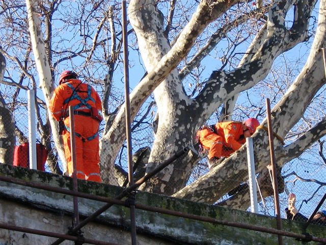 Vaja MERP v Luki Koper ,11.02.2006 - foto povečava