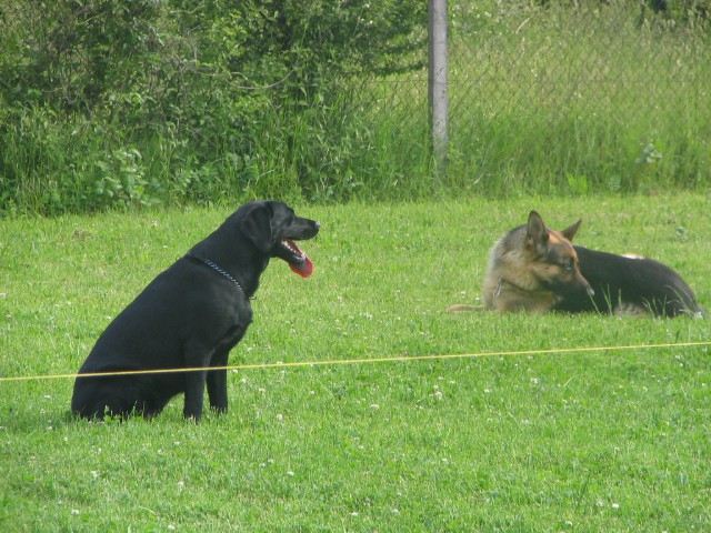 Dan odprtih vrat ,20.05.2006 - foto povečava