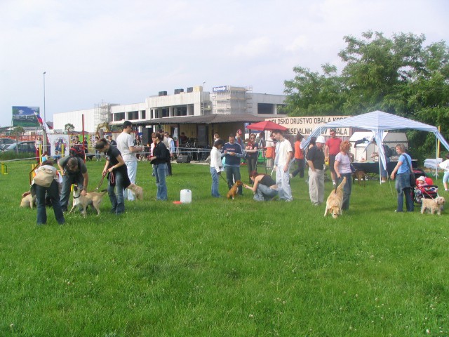 Dan odprtih vrat ,20.05.2006 - foto povečava