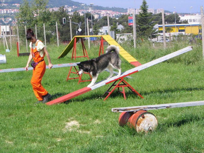 Pika na gugalnici