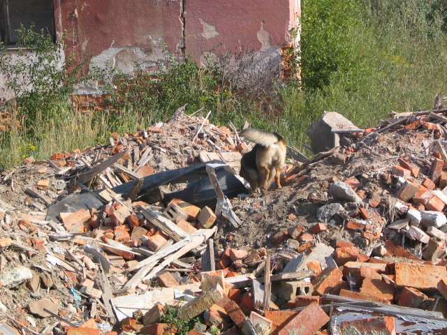 Izpit ruševina Celje ,02.09.2006 - foto