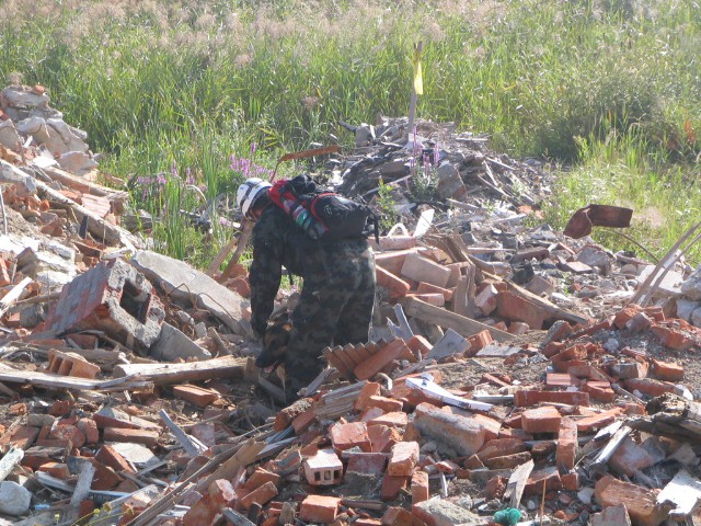 Izpit ruševina Celje ,02.09.2006 - foto povečava