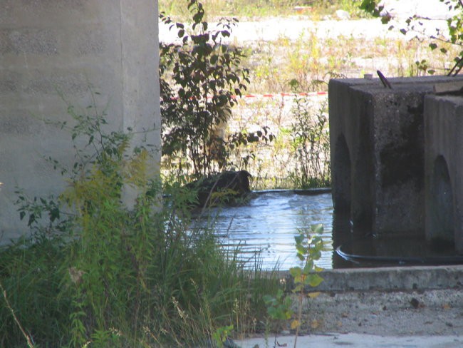 8.talanov memorial - foto povečava