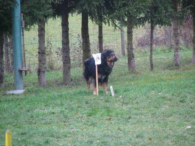 Zagorje,izpiti ruševina - foto povečava