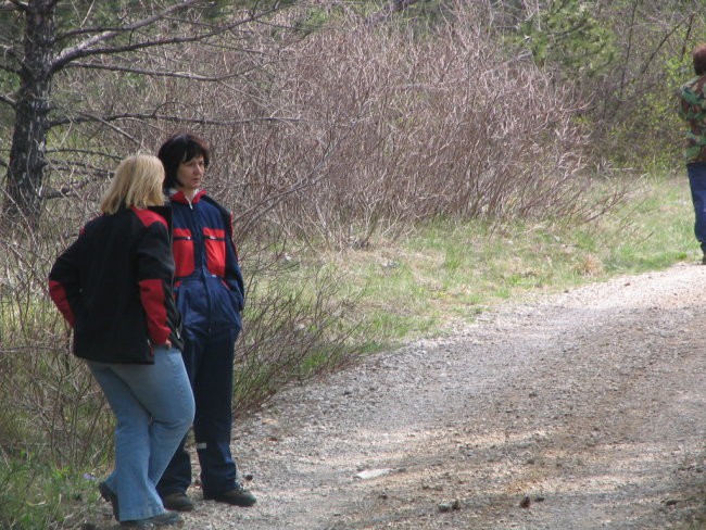 Socerb z KVRPS,08.04.2007 - foto povečava