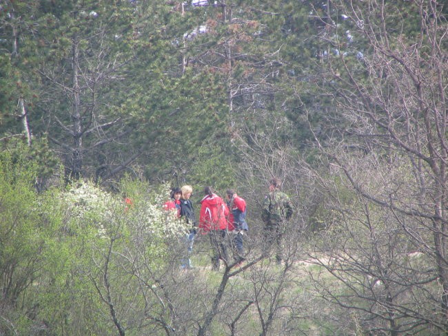 Socerb z KVRPS,08.04.2007 - foto povečava