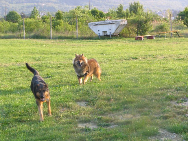 Žur na poligonu ,21.04.2007 - foto povečava