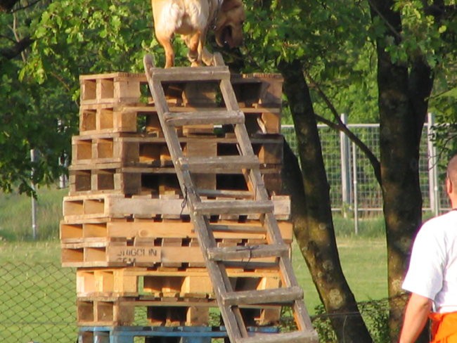 Predstvitev v Komnu,29.04.2007 - foto povečava