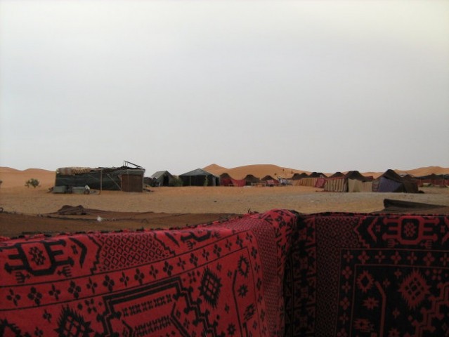 Merzouga - oaza