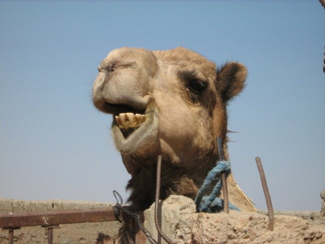 Merzouga