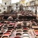 Fes - štavionica
(tannery)
