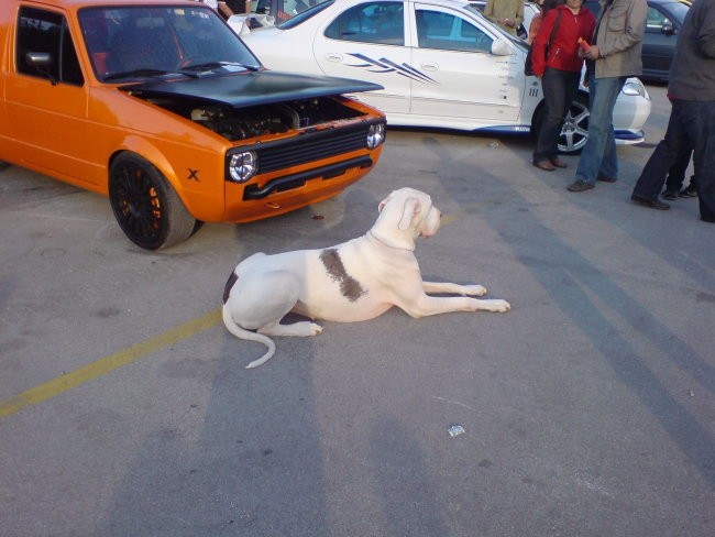 Avtomotoshow 2008 v Gornji Radgoni - foto povečava