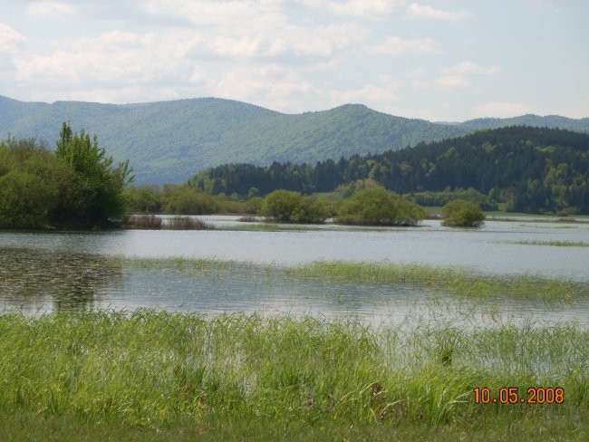 Teren 10.5.2008 (Cerkniško jezero in Planinsk - foto povečava