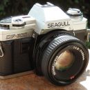 Seagull DF-300 (1964-)
