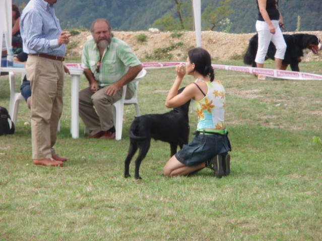 Asha - CAC Trbovlje 2008 - foto