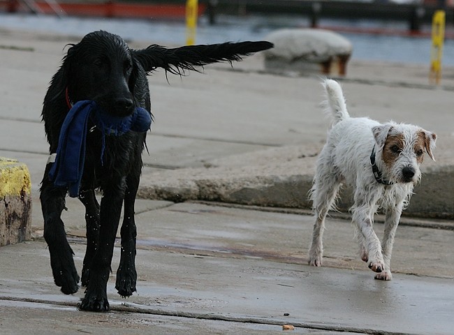 Asha - Portorož (oktober 2008) - foto povečava