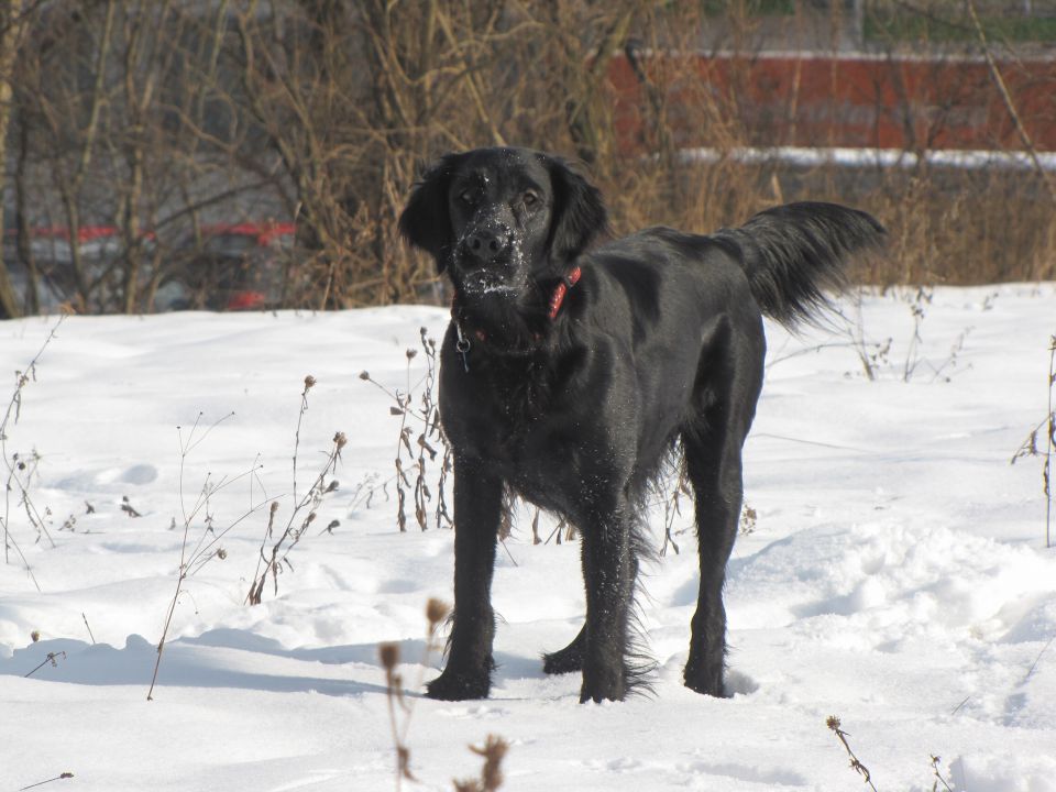 Asha in Špela - foto povečava