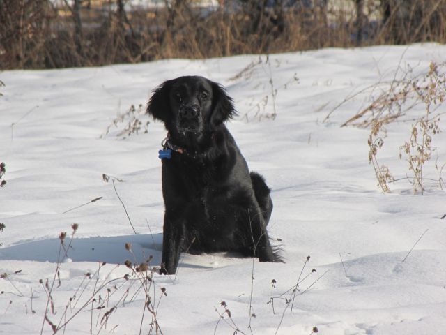 Asha in Špela - foto