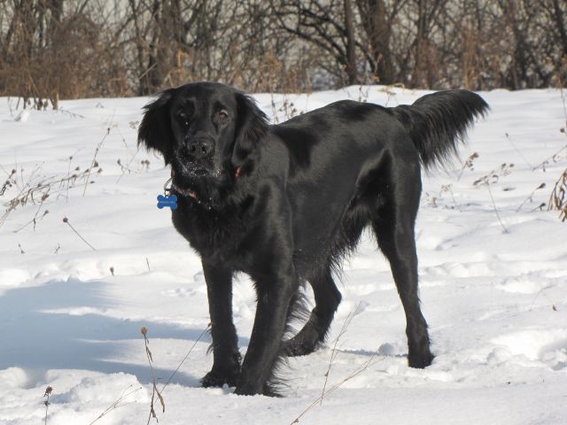 Asha in Špela - foto