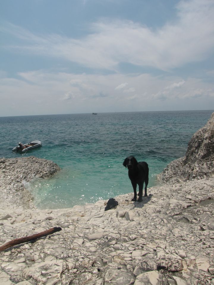 Lošinj - junij2010 - foto povečava