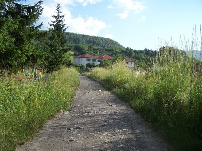 Ustikolina maj - foto povečava