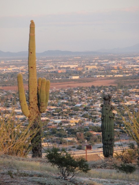 Tucson AZ, september 2008 - foto