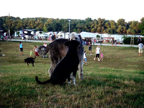 Onove - foto povečava