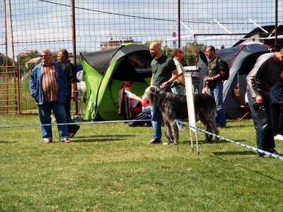 Onove - foto povečava