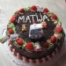 čokoladna torta za Matijo