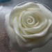 vrtnica iz tičine