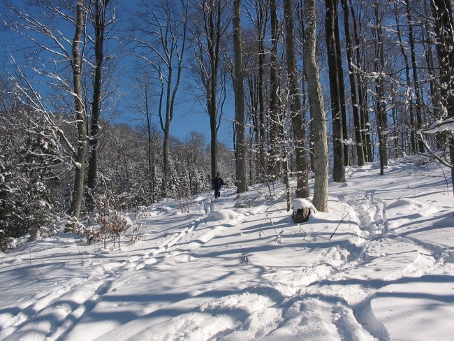 Trdinov vrh 6.2.2005 - foto povečava