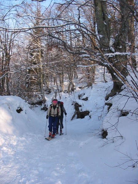 Trdinov vrh 6.2.2005 - foto povečava