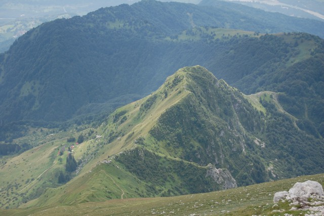 Kožljak