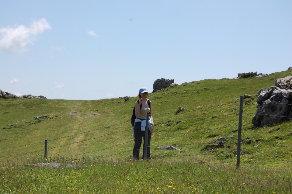 Velika planina (20.6.08) - foto povečava