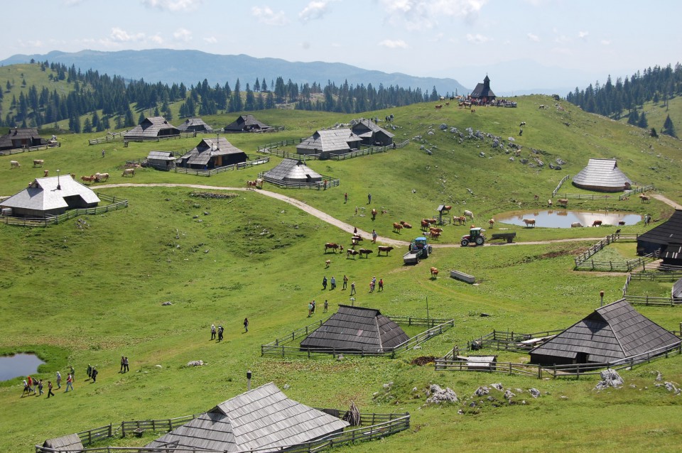 Velika planina (20.6.08) - foto povečava