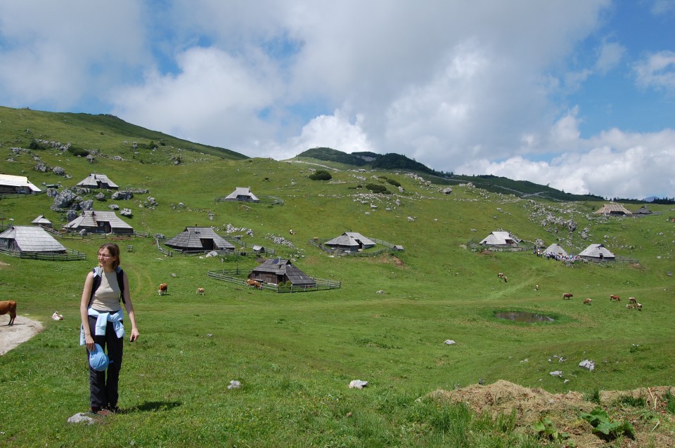 Velika planina (20.6.08) - foto povečava