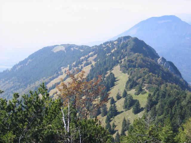 ...pogled na Kriško goro, desno v ozadju Dobrča