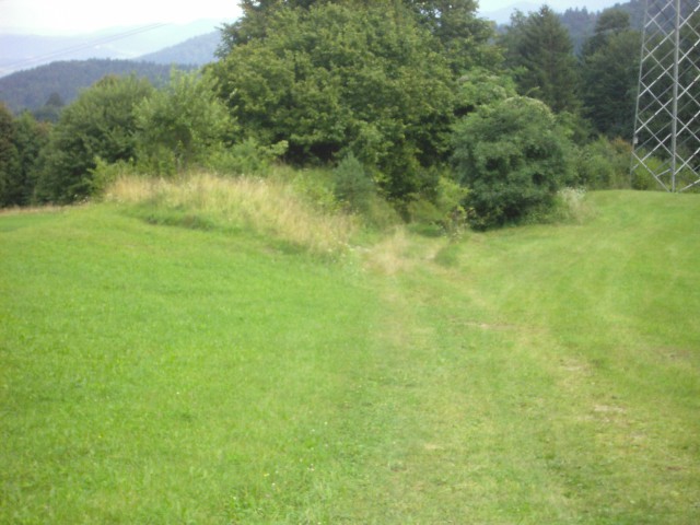 Pot čez travnik