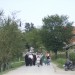 GALJIPOVCI-MRAVICA POSJETA TURBETU 15.08.2008