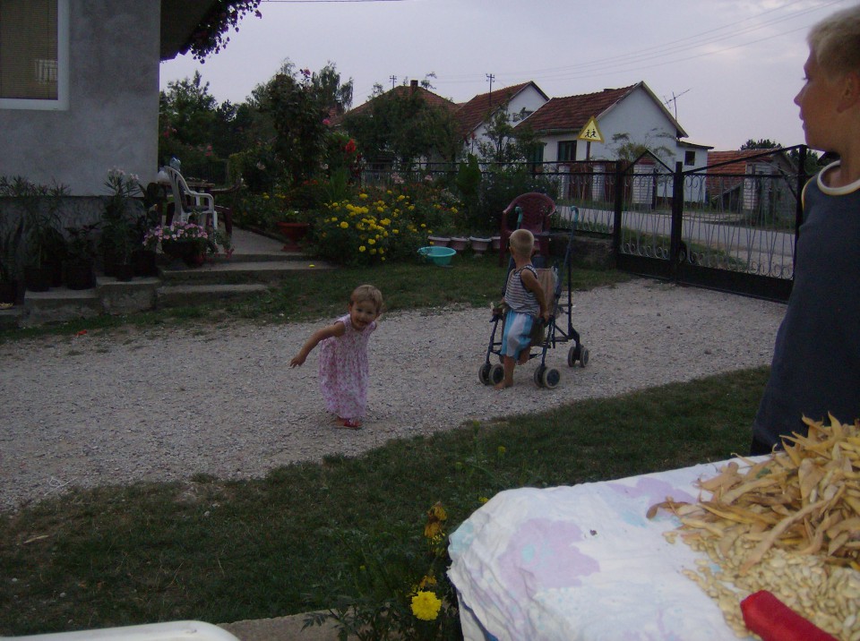 ZA DIJASPORU GALJIPOVCI-AVGUST 2008- PA VIDIM - foto povečava