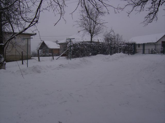 Zima u bosni februar 2010 - foto