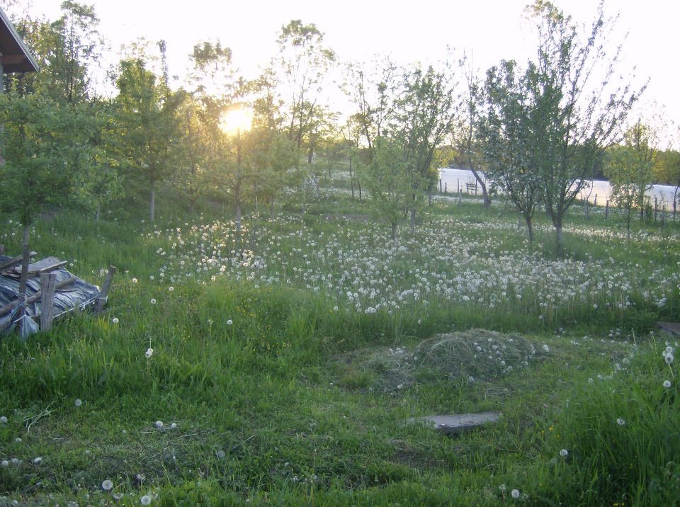 Bosna u maju 2010 - foto povečava