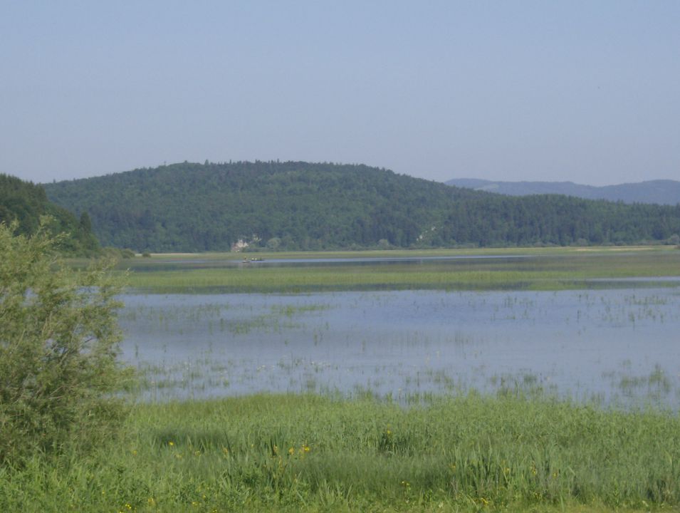 14 tek okoli Cerkniškega jezera 06.06.2010 - foto povečava