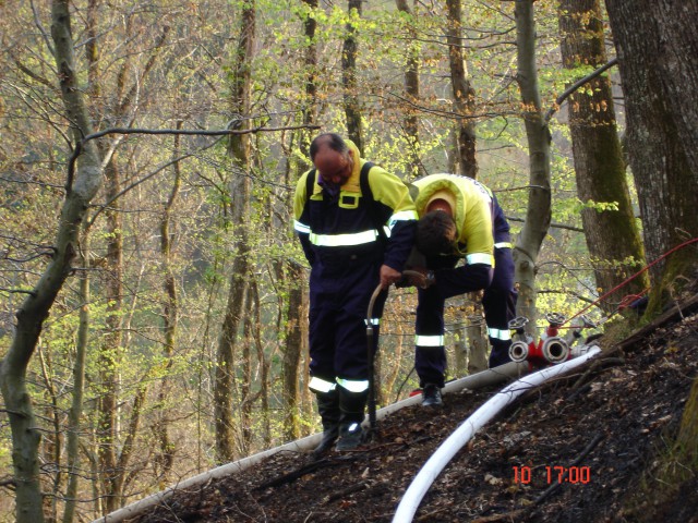 Gozdni požar v Loki - foto