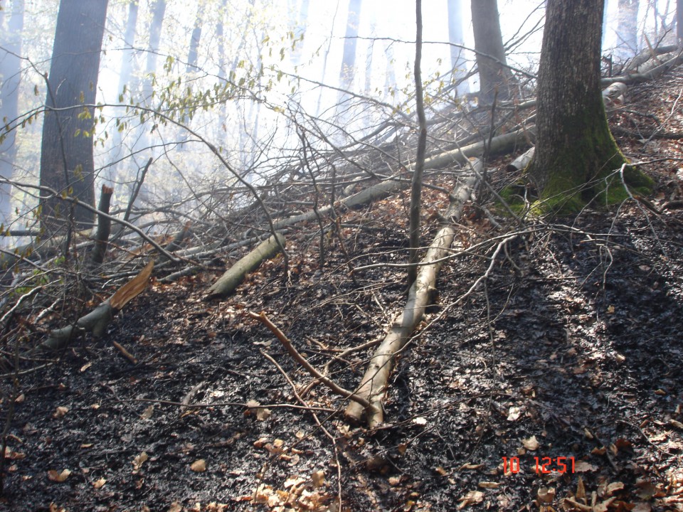 Gozdni požar v Loki - foto povečava