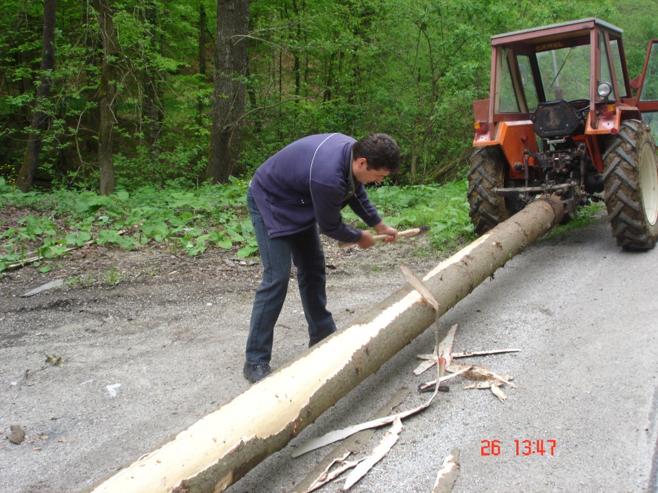 Postavljanje mlaja 2009 - foto povečava